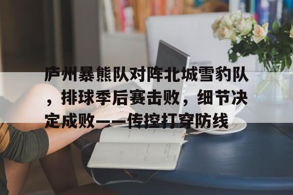 kaiyun-庐州暴熊队对阵北城雪豹队，排球季后赛击败，细节决定成败——传控打穿防线的简单介绍